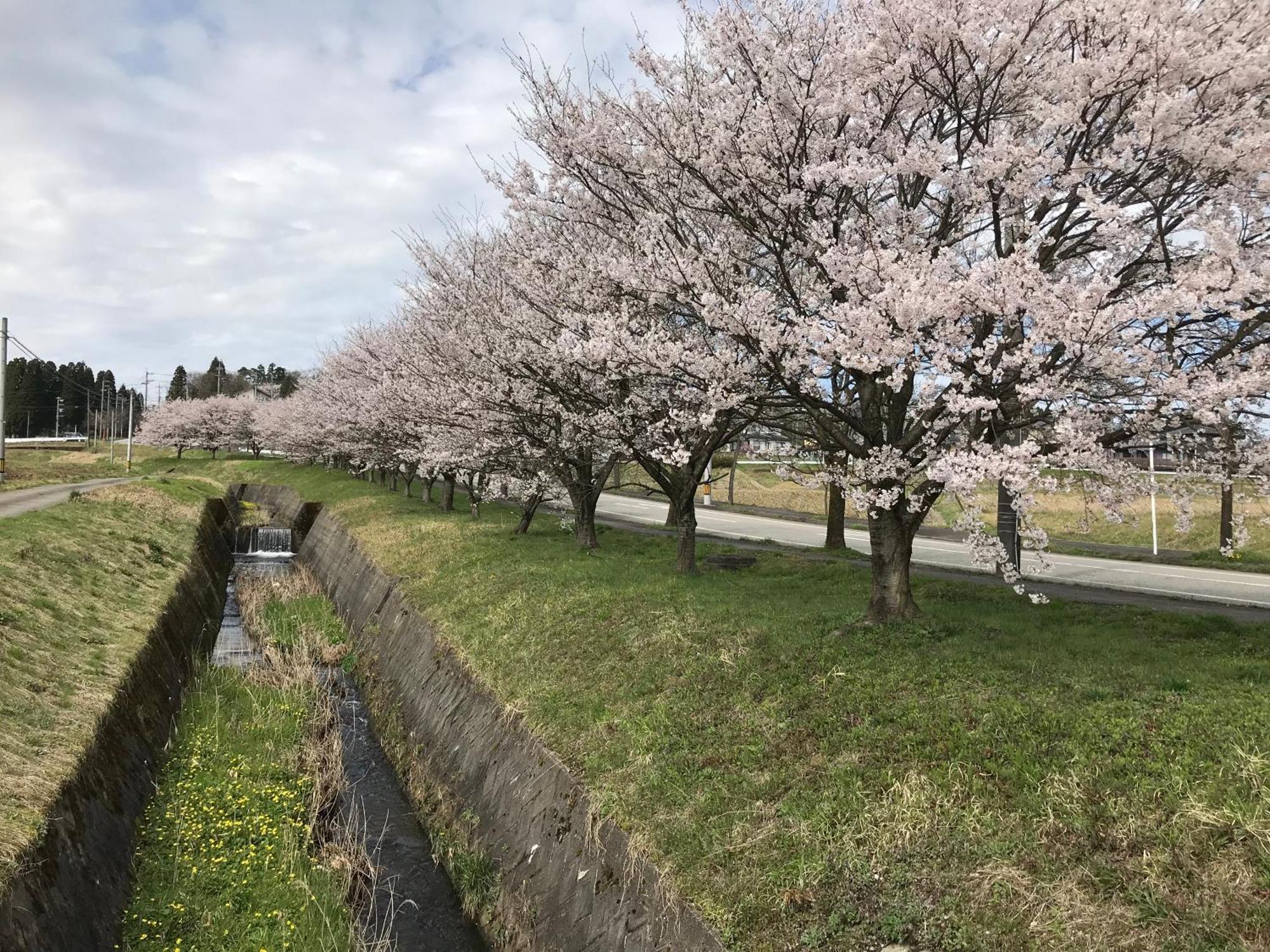 ヨーコのお宿 わくわく Toyama Exterior photo